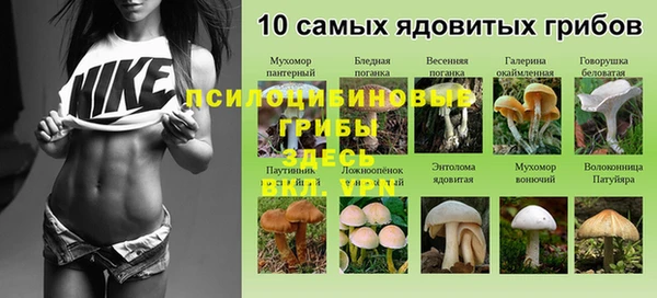 дурь Володарск
